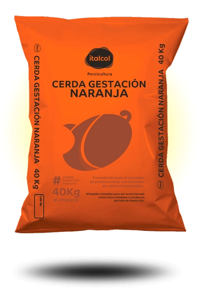 cerda-gestacion-naranja-grande