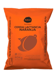 Cerda lactancia naranja, Italcol