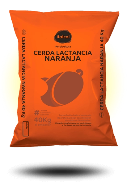 cerda-lactancia-naranja Cerda lactancia naranja
