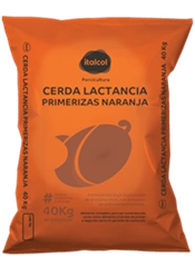 Cerda lactancia primeriza naranja, Italcol