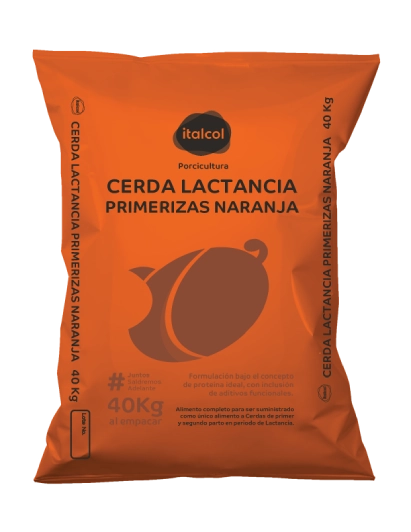 cerda-lactancia-primeriza-naranja Cerda lactancia primeriza naranja