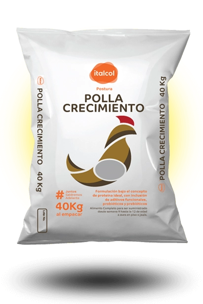 polla-crecimiento-grande Polla