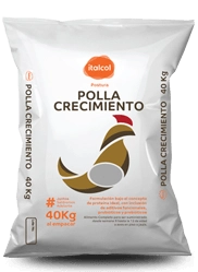 Polla crecimiento, alimento postura Italcol