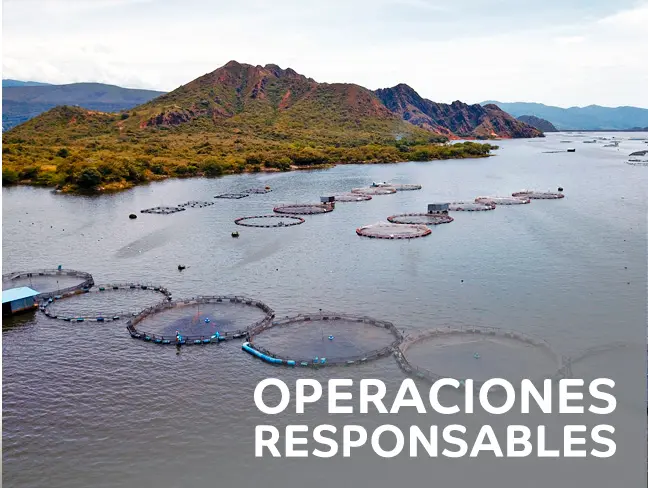 Operaciones Responsables - italcol