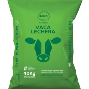 VACA LECHERA