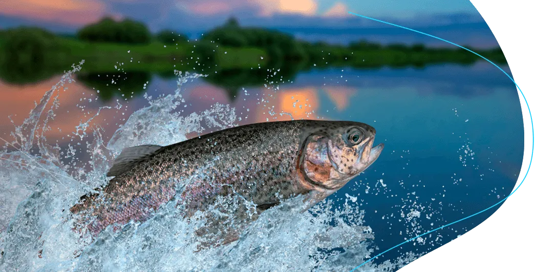Alimento para peces