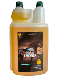 Brío energy