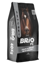 Brio Fc