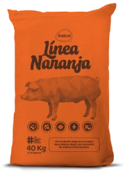 Cerdito iniciación naranja, Italcol Perú